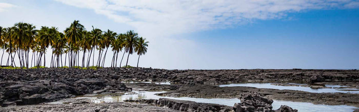 Lauren Brandon: How to Swim Faster in the Open Water